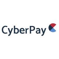 CyberPay Authentication API Image